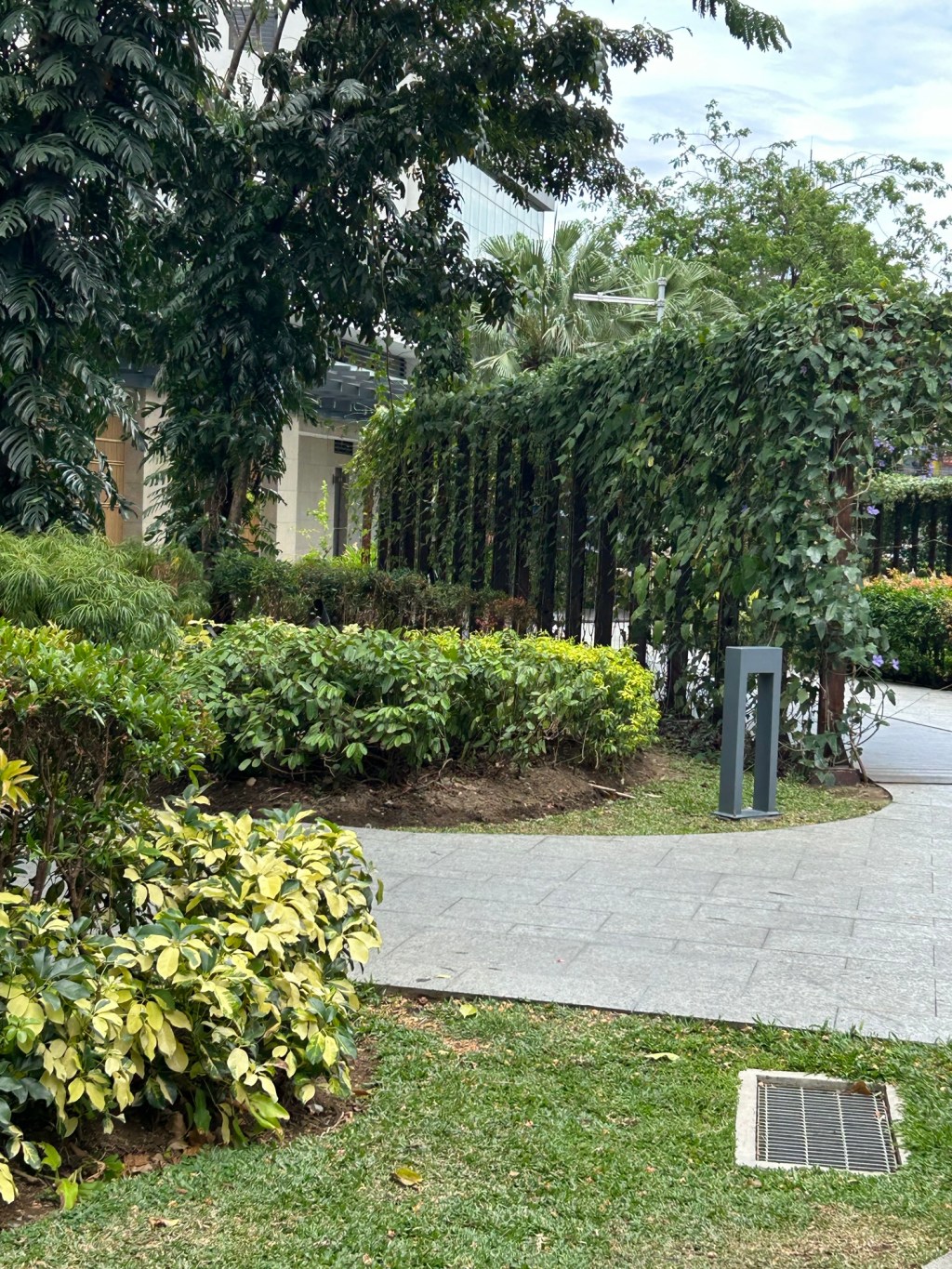 Betadine isn’t always the&nbsp;solution