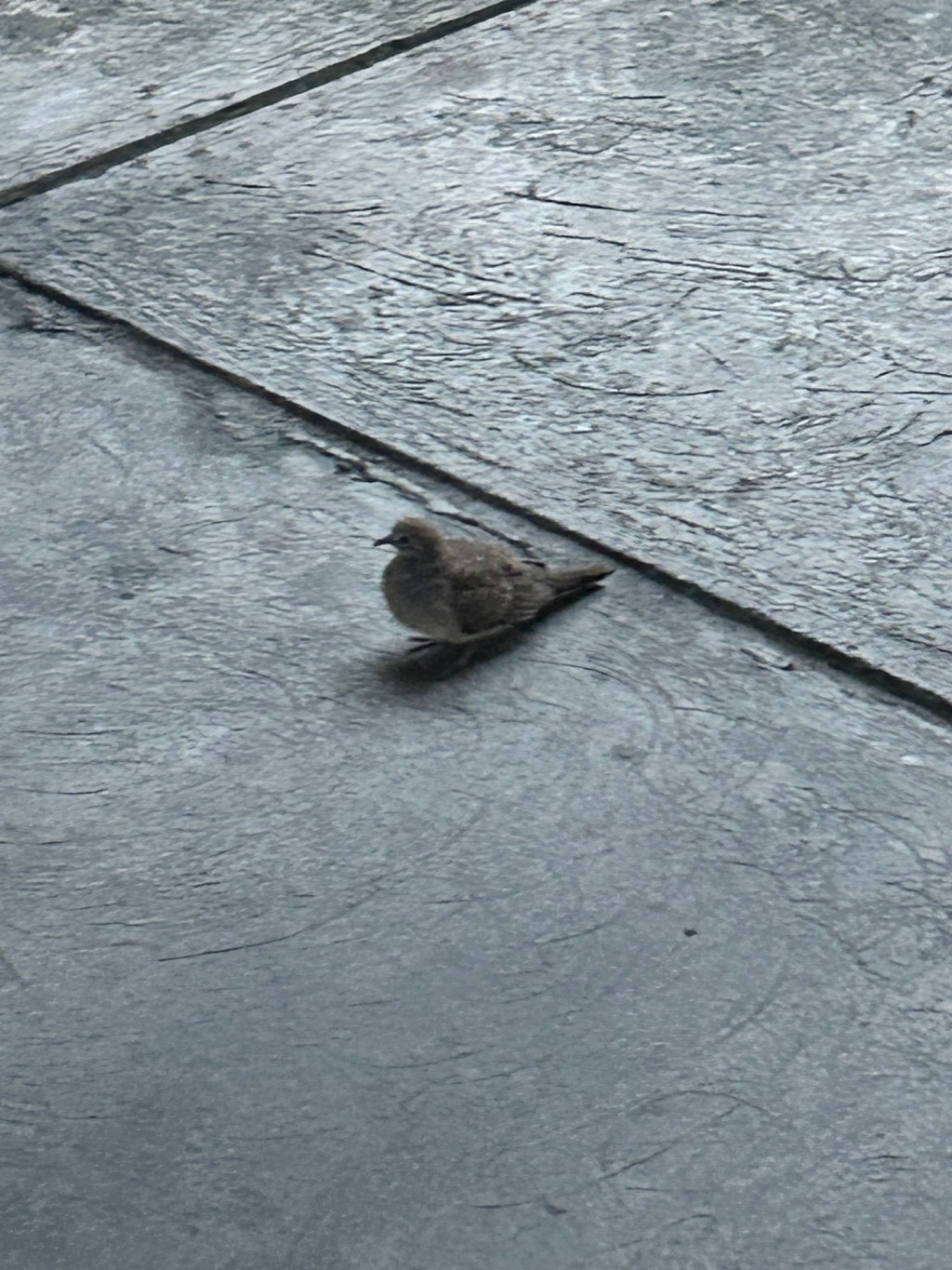 Sips of Coffee amidst the silent&nbsp;calm